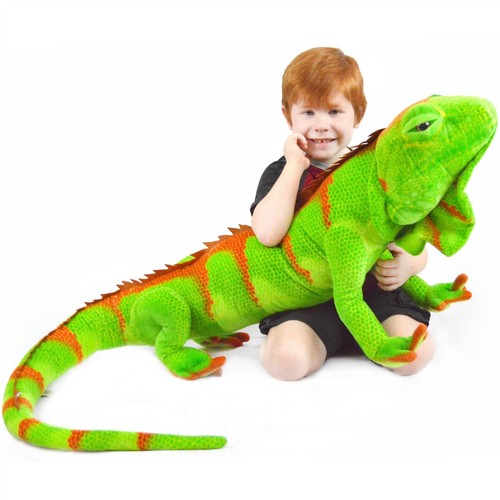 Ignacio the iguana 75 - |, inch
